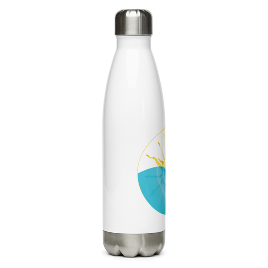Brilliant Sun Stainless Steel Water Bottle