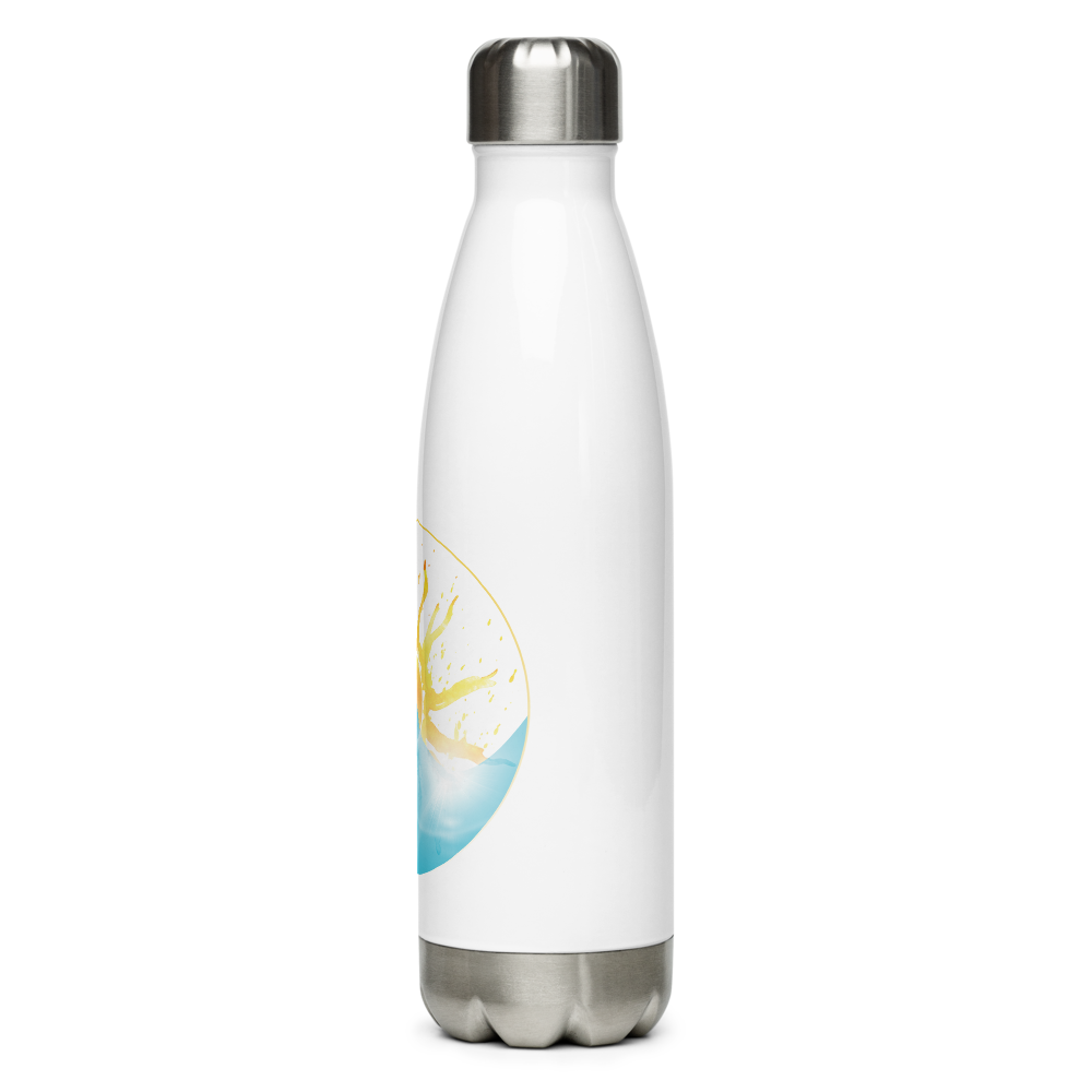 Brilliant Sun Stainless Steel Water Bottle