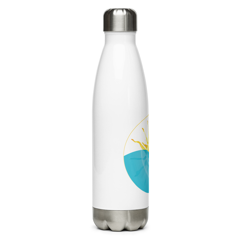 Brilliant Sun Stainless Steel Water Bottle